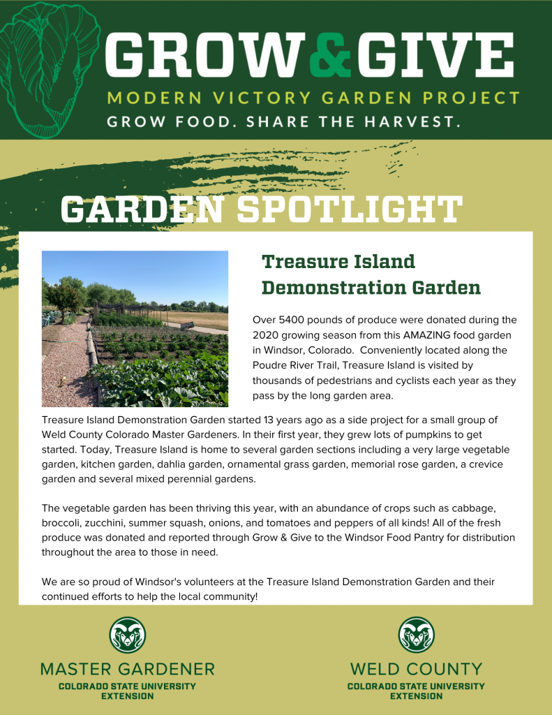 Grow & Give Community Garden Spotlight - Treasure Island in Windsor