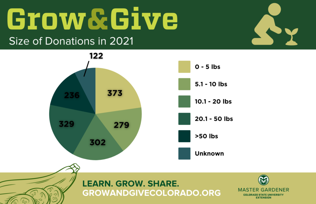 Size of Donations in 2021