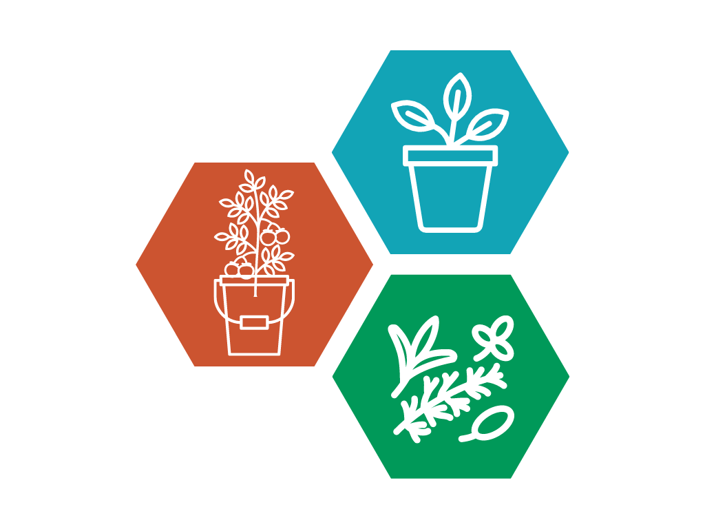 Icons to get to more information on Container Gardening and Herbs